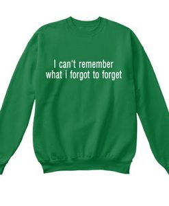 i can't remember what i forgot to forget sweatshirt