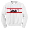 giant sweatshirt